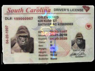 South Carolina (Old Version) Fake ID Front