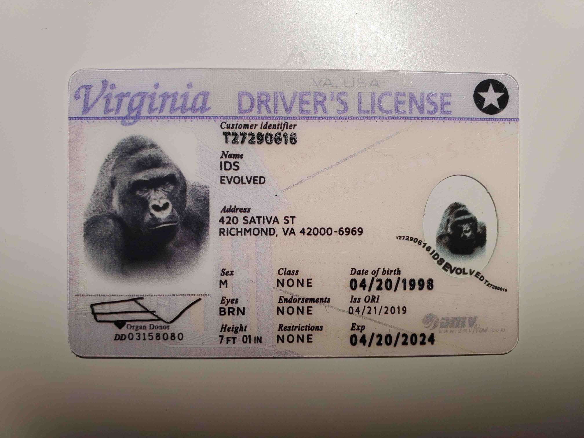 Virginia Fake ID Front
