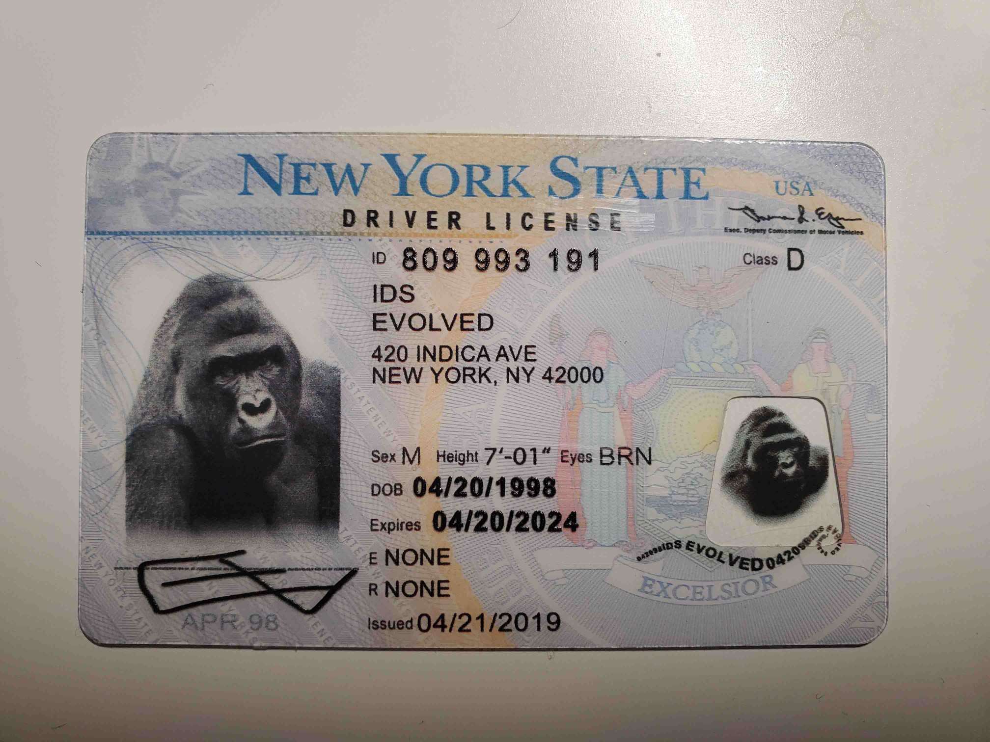 New York Fake ID Front