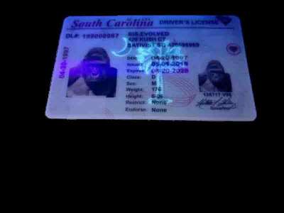 South Carolina (Old Version) Fake ID UV