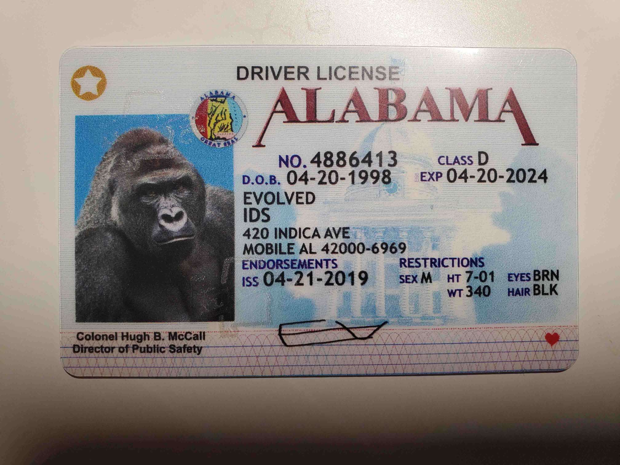 Alabama Fake ID Front