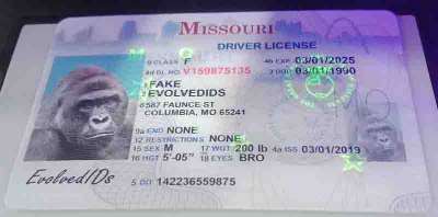 Missouri (Old Version) Fake ID UV