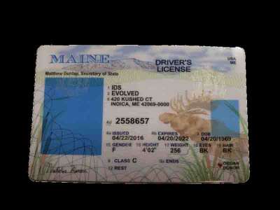 Old Maine Fake ID UV