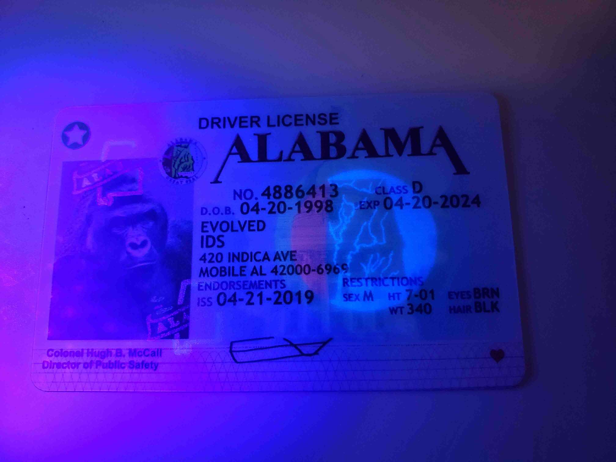 Alabama Fake ID UV