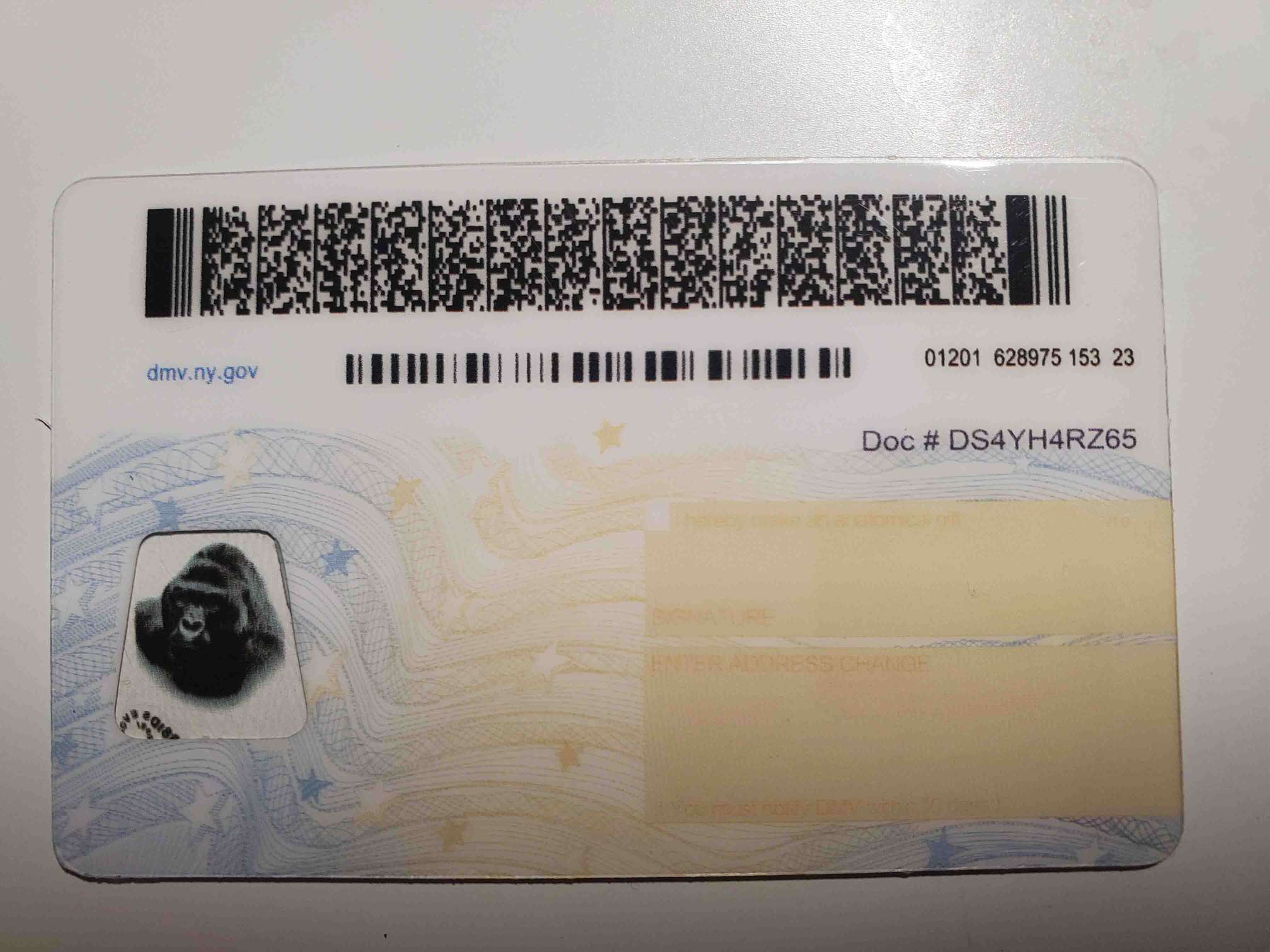 New York Fake ID Back