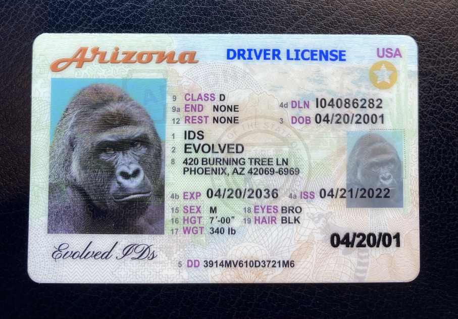 Arizona Fake ID Front