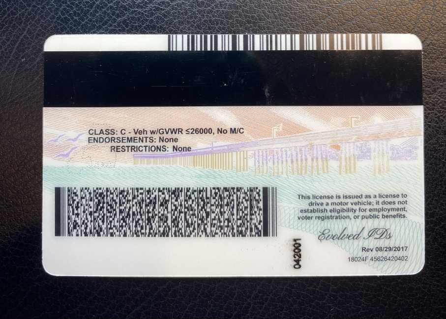 California Fake ID Back