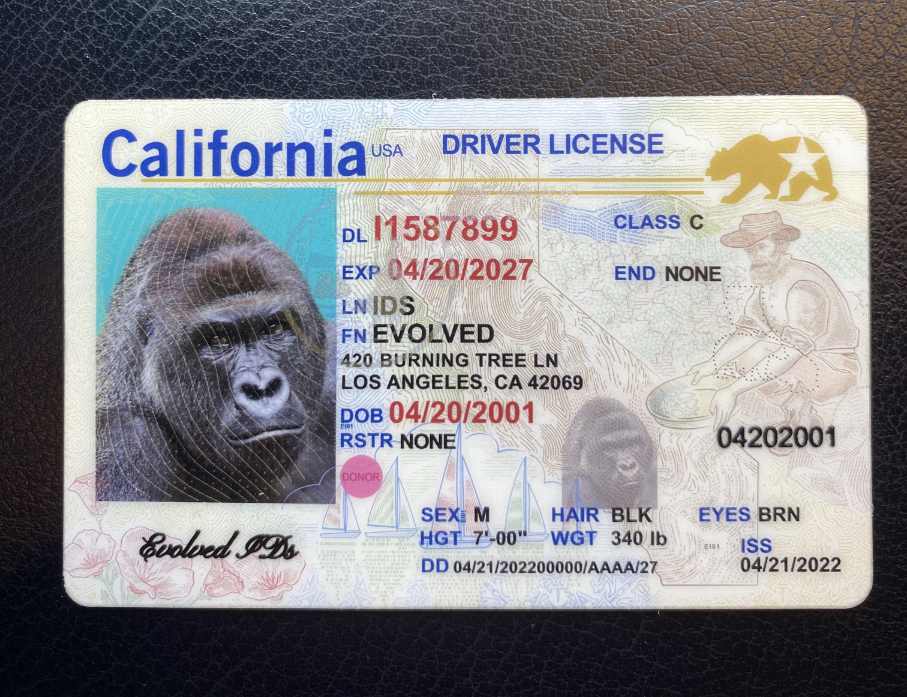 California Fake ID Front