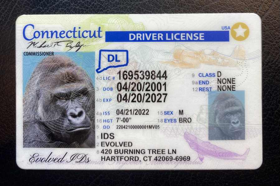 Connecticut Fake ID