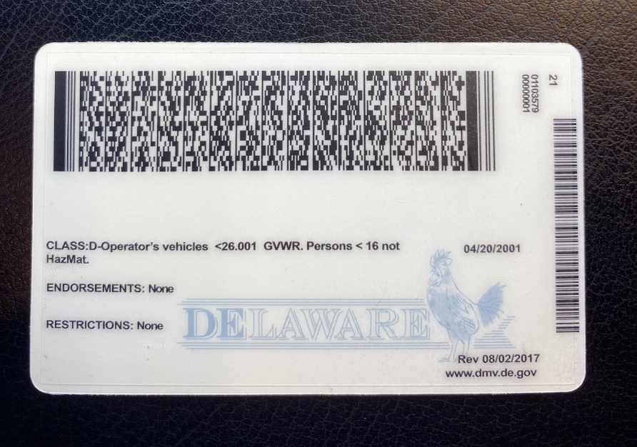 Delaware Fake ID Back
