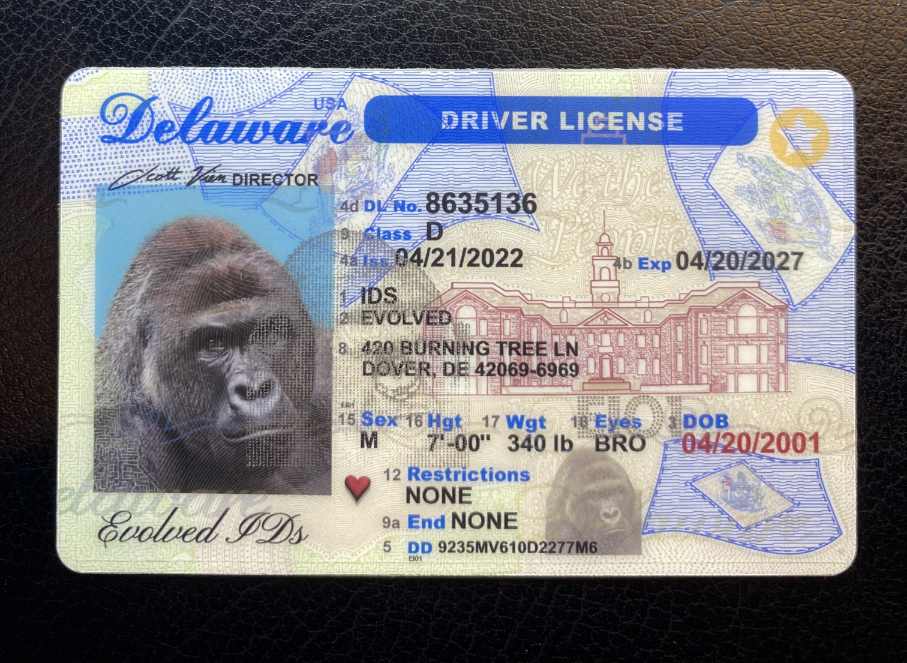 Delaware Fake ID Front