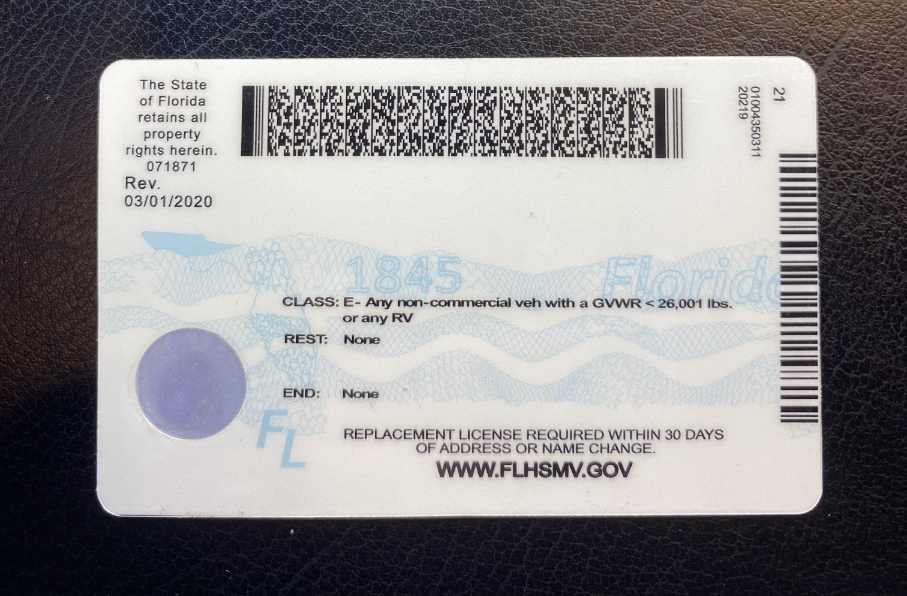 Florida Fake ID Back