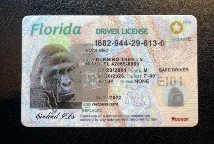 Florida Fake ID