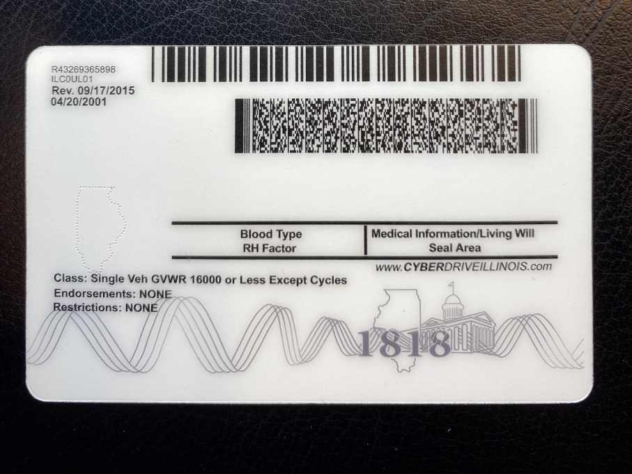 Illinois Fake ID Back