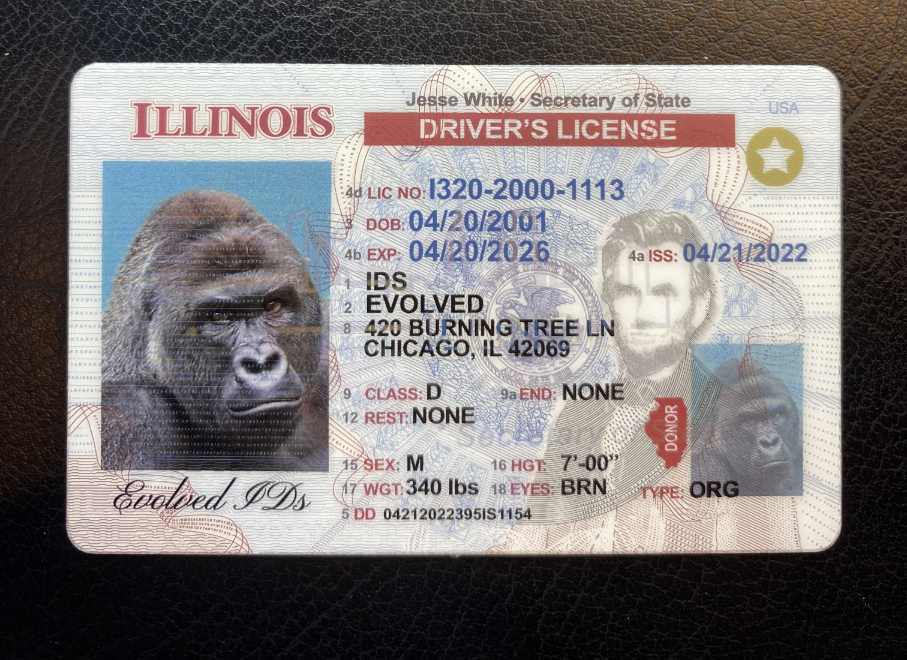 Illinois Fake ID