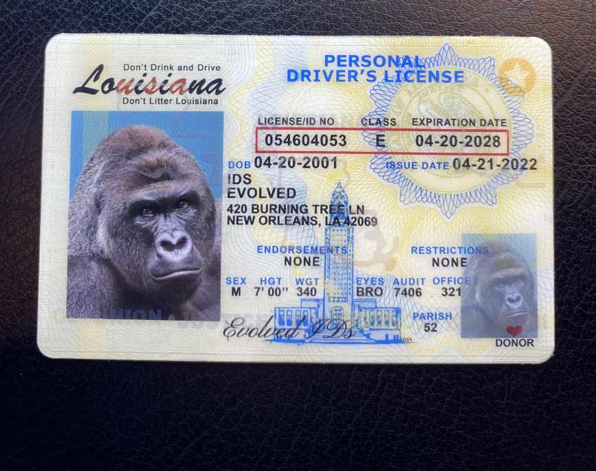 Louisiana Fake ID Front