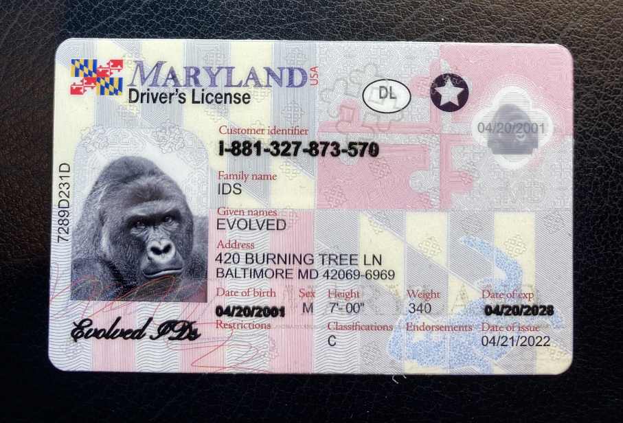 Maryland Fake ID Front