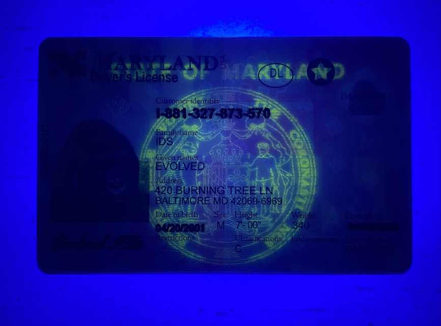 Maryland Fake ID UV