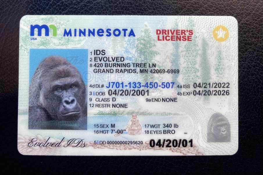 Minnesota Fake ID Front