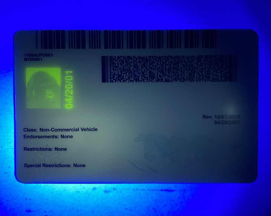 Montana Fake ID UV