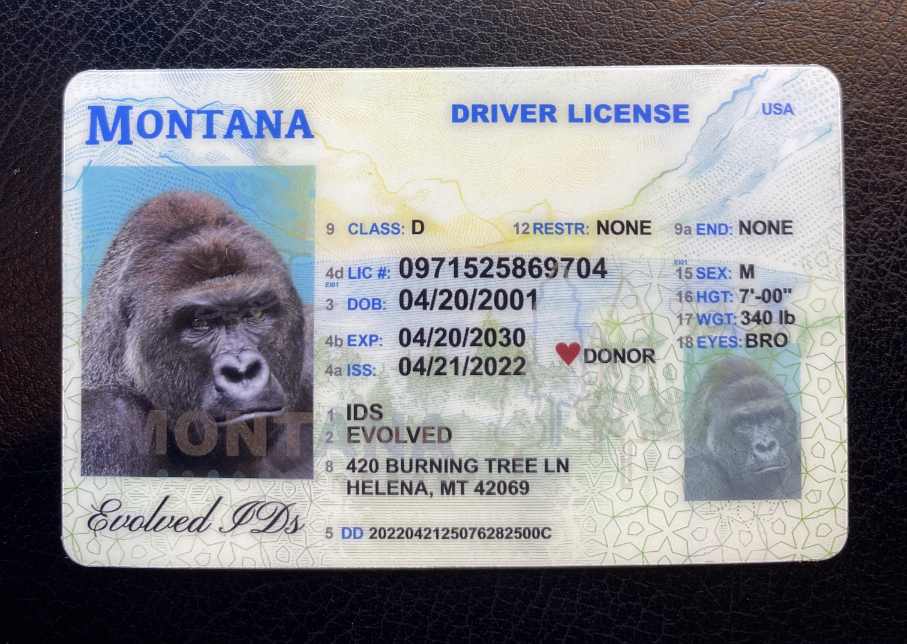 Montana Fake ID Front