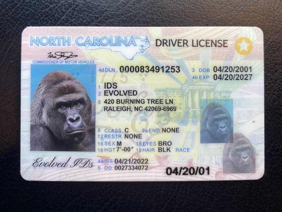 North Carolina Fake ID