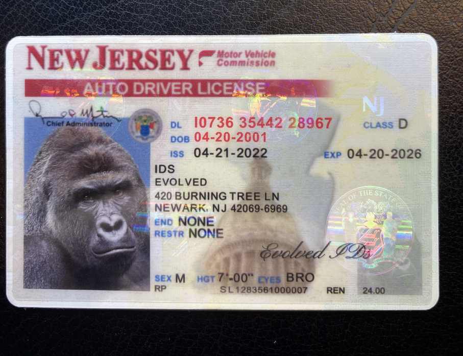 New Jersey (Old Version) Fake ID Front