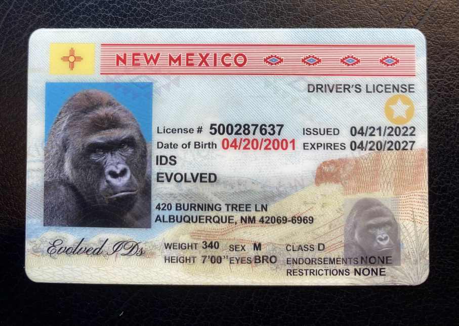 New Mexico Fake ID Front