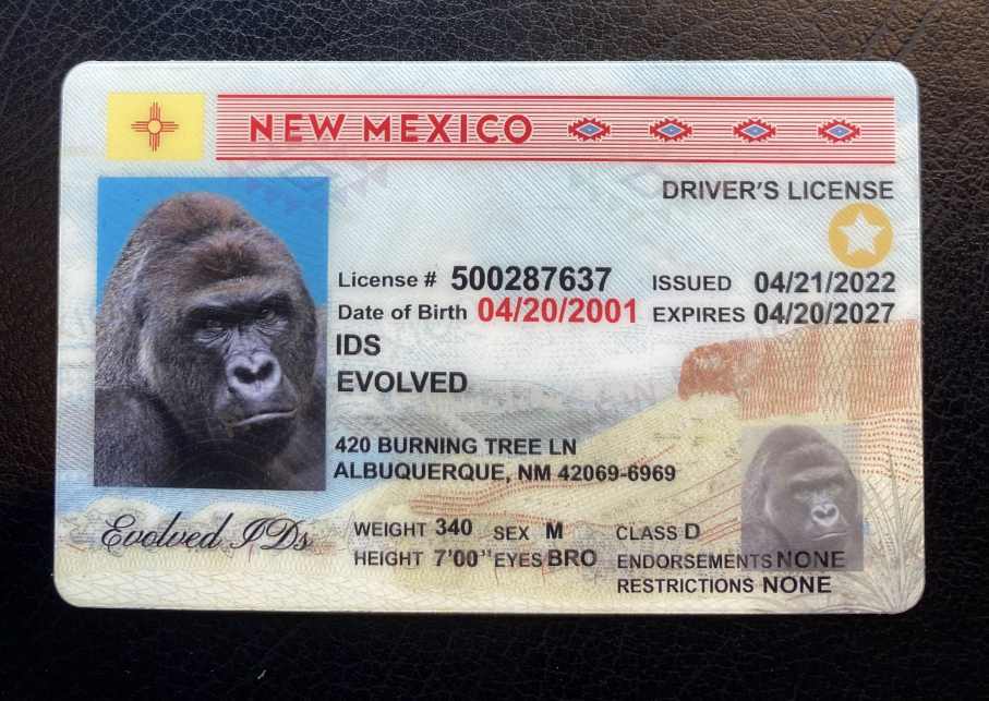 New Mexico Fake ID