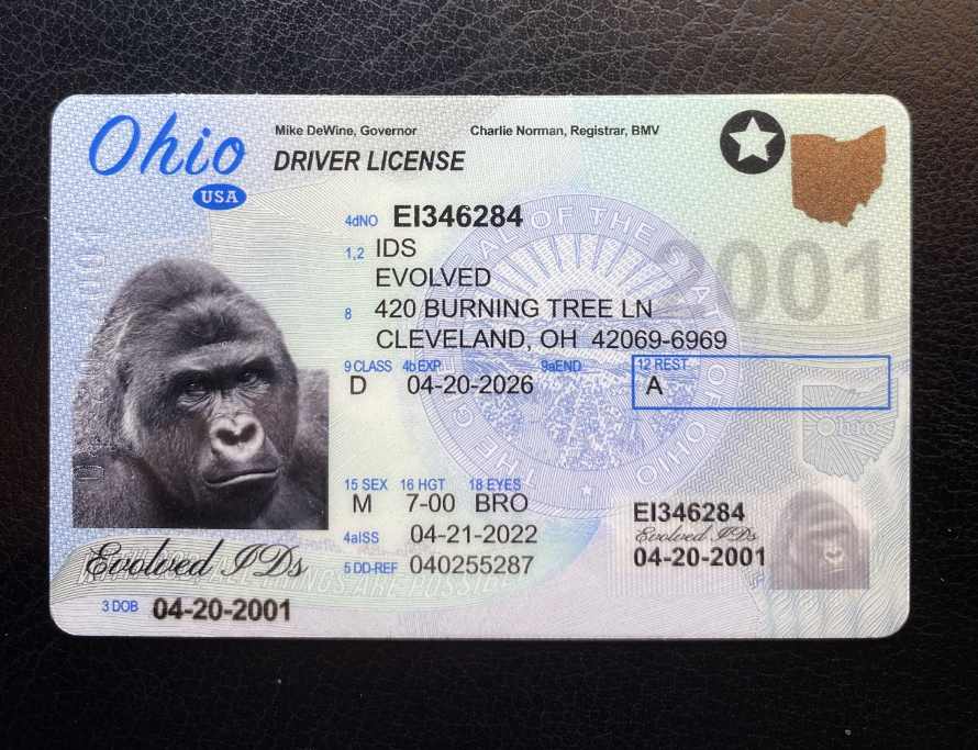 New Ohio Fake ID Front
