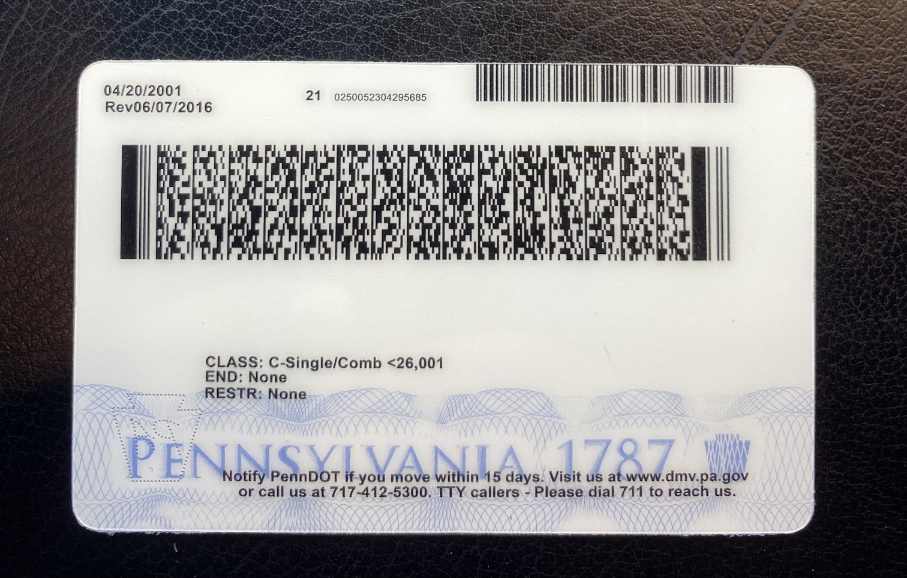 Pennsylvania Fake ID Back