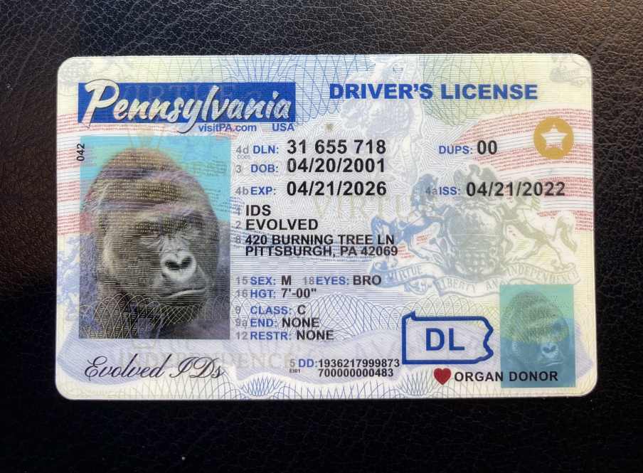 Pennsylvania Fake ID Front