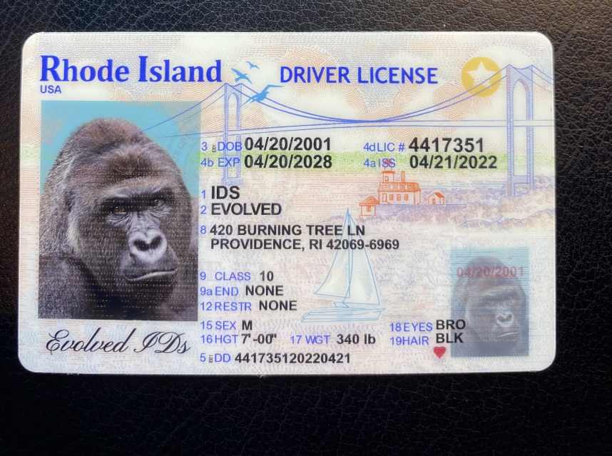 Rhode Island Fake ID Front