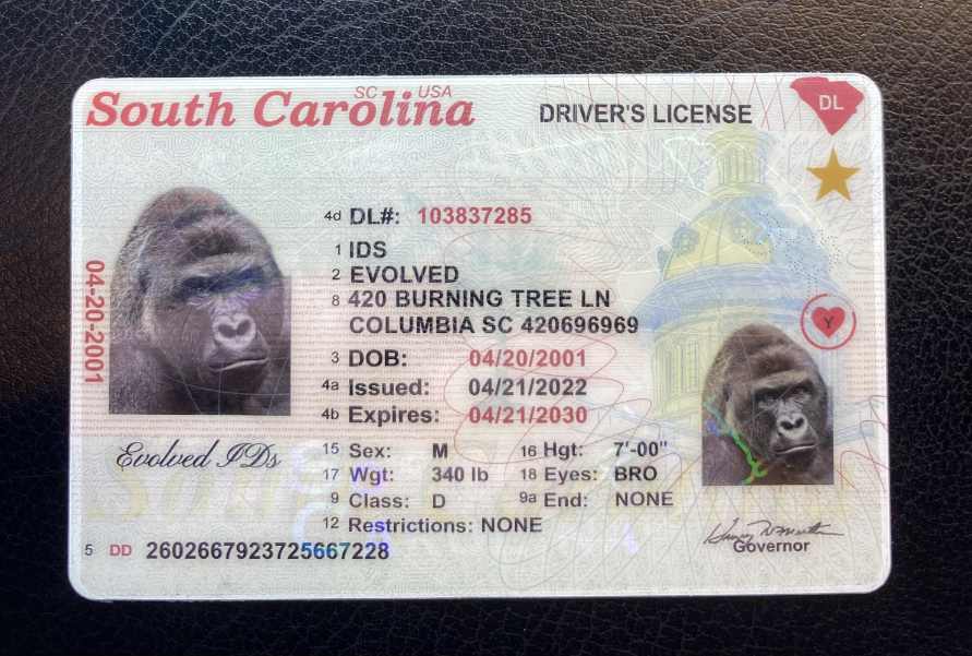 South Carolina (New Version) Fake ID Front