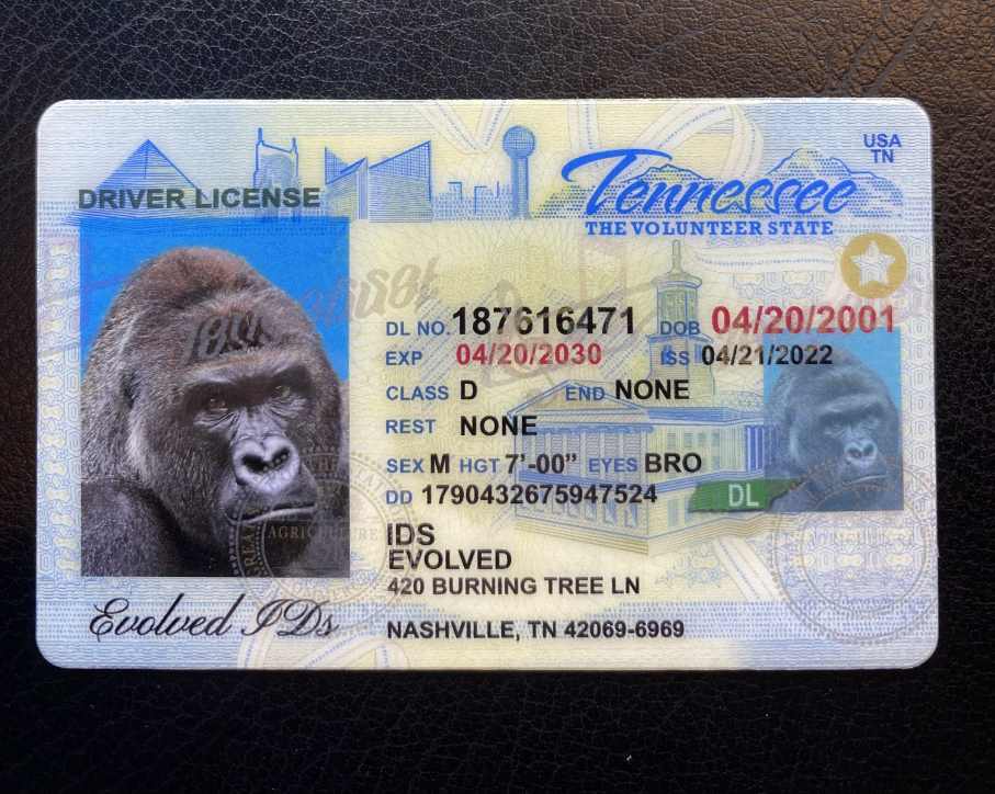 Tennessee Fake ID Front