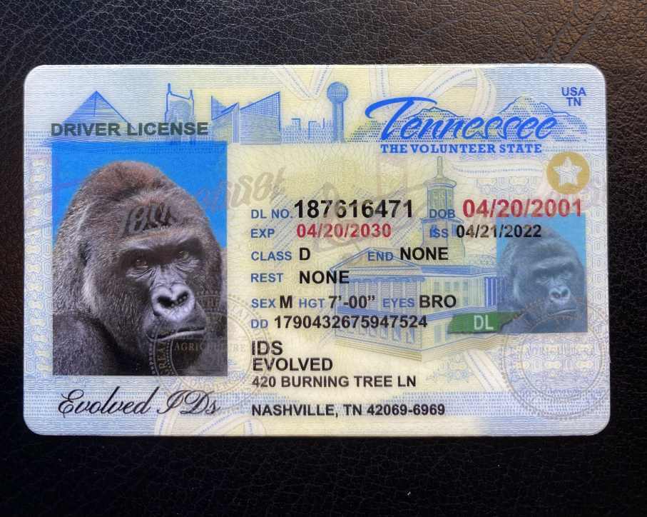 Tennessee Fake ID