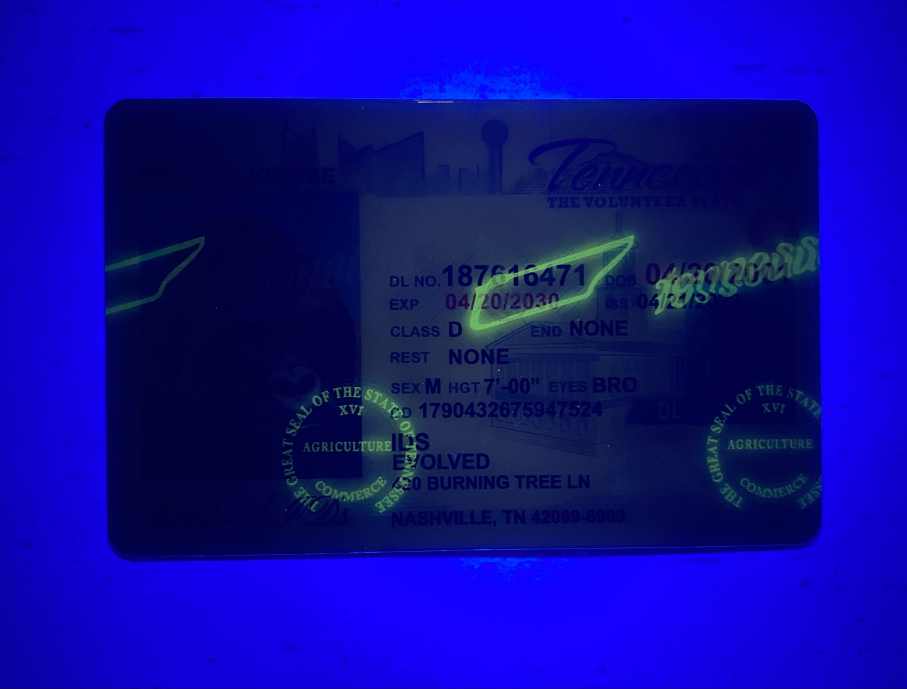 Tennessee Fake ID UV