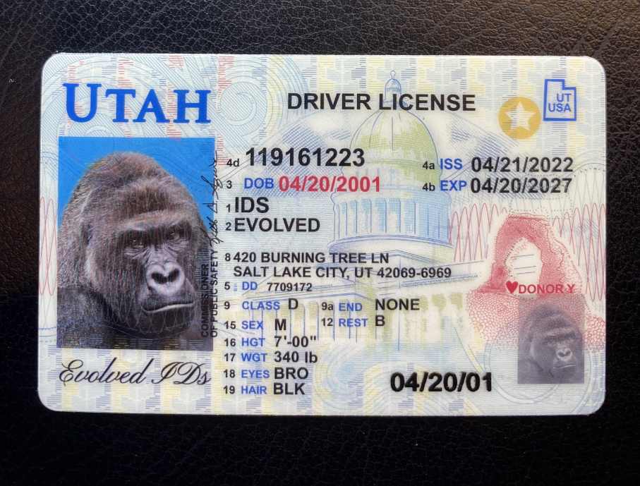 Utah Fake ID Front
