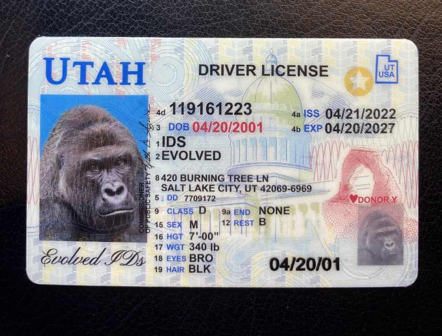 Utah Fake ID