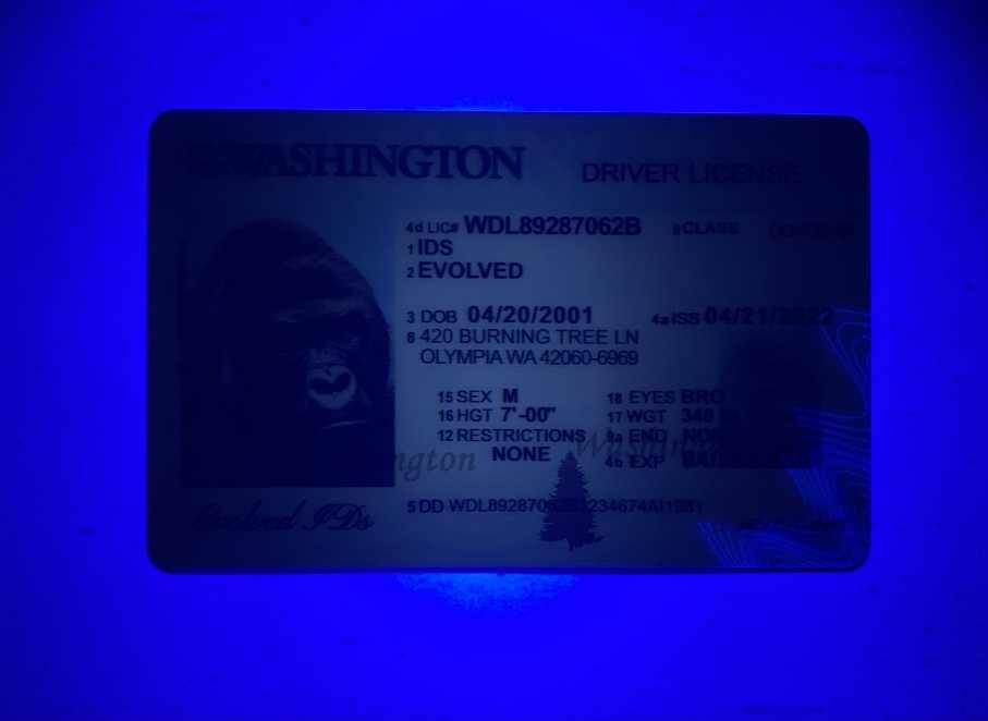 Washington (Old Version) Fake ID UV