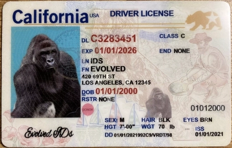 California Fake ID