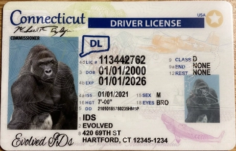 Connecticut Fake ID Front