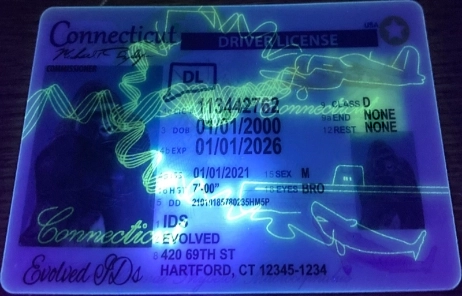 Connecticut Fake ID UV