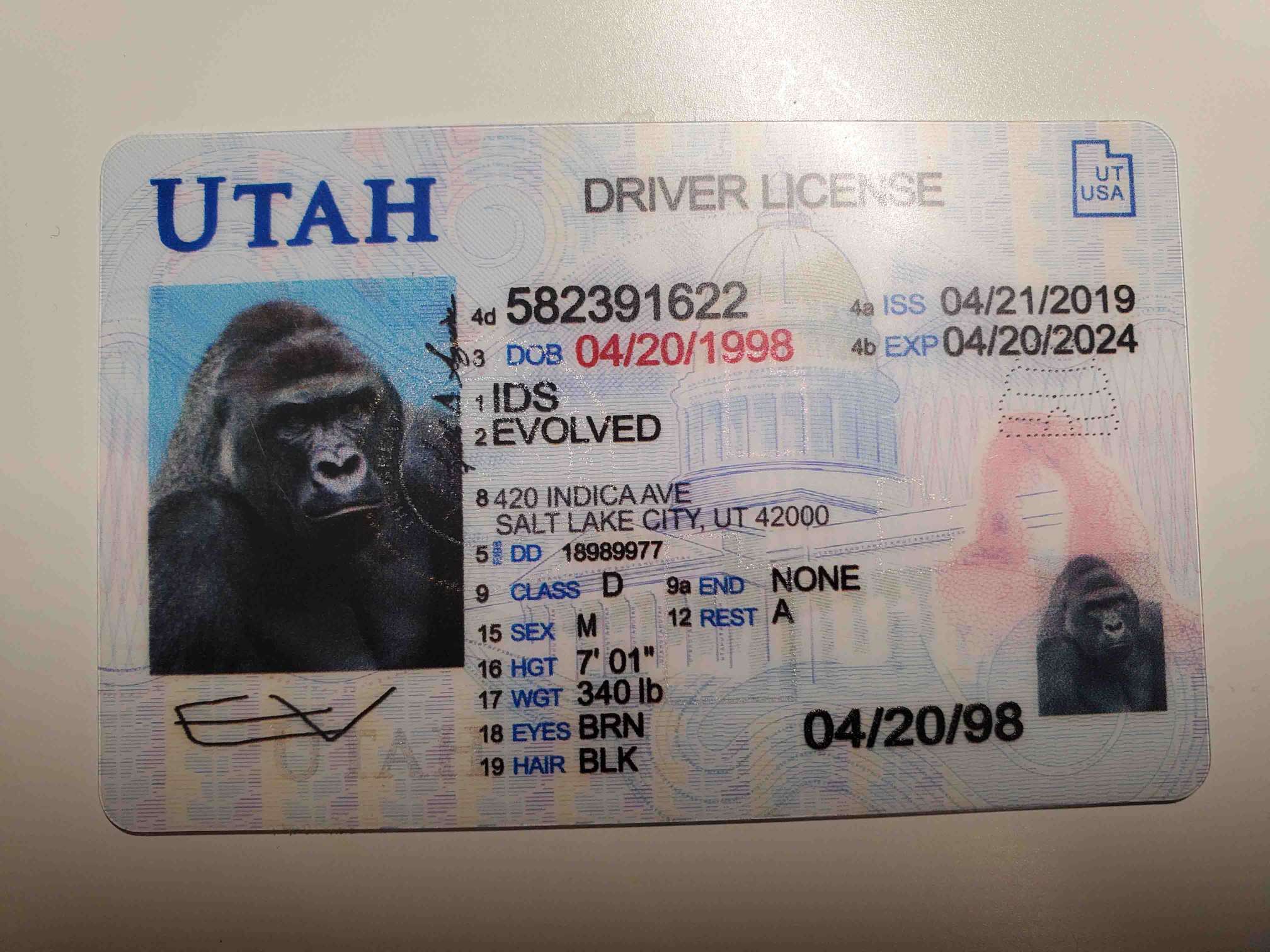 Evolved Ids Buy Fake Ids