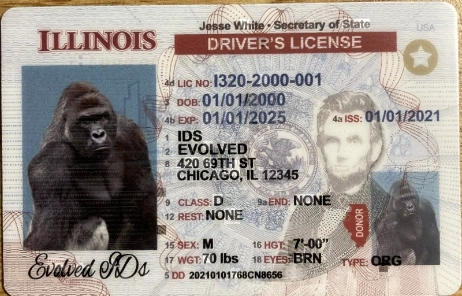 Illinois Fake ID Front