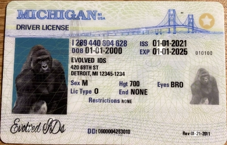 Michigan Fake ID Front