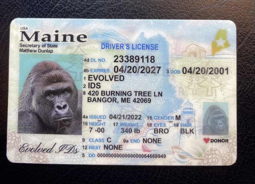 Maine Fake ID Front