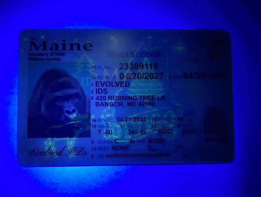 Maine Fake ID UV
