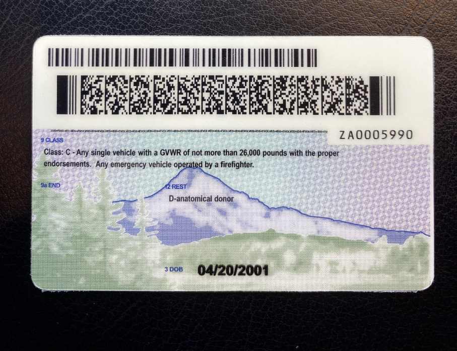 Oregon Fake ID Back