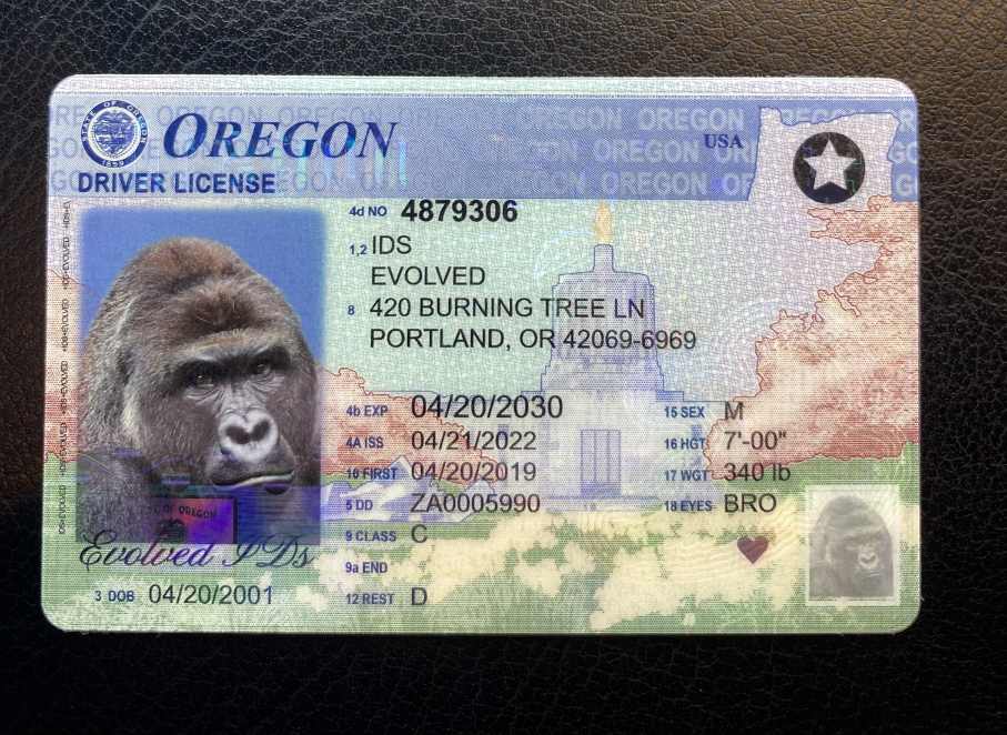 Oregon Fake ID Front